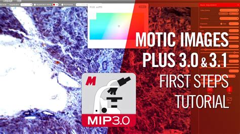 motic images.